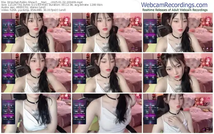 stripchat-___nari___-01-02-2025-20-34-09