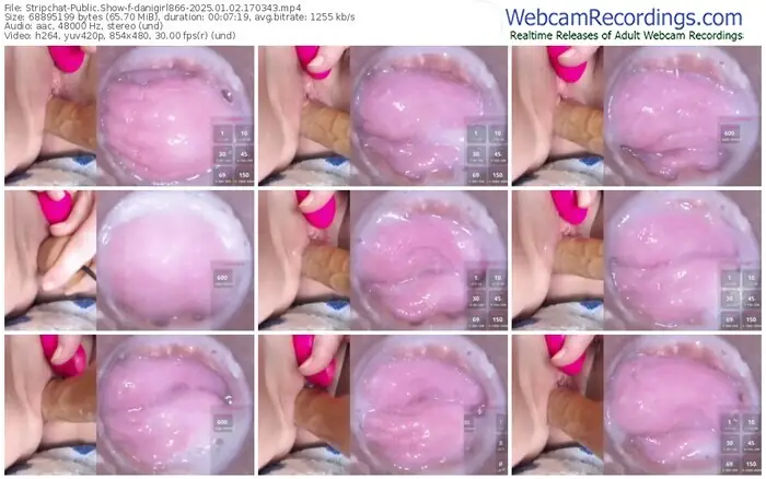 stripchat-danigirl866-01-02-2025-17-03-43
