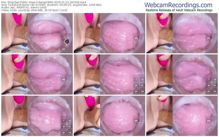 stripchat-danigirl866-01-02-2025-18-26-36