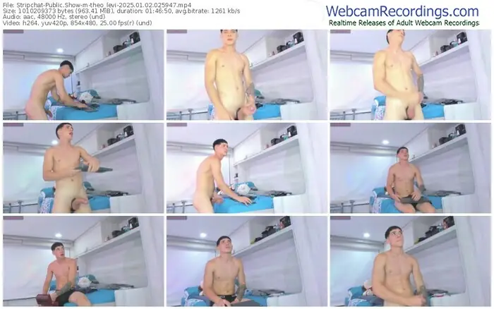stripchat-theo_levi-01-02-2025-02-59-47