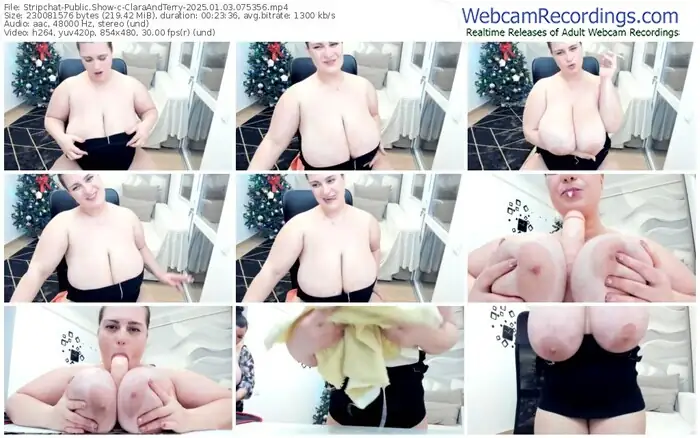 stripchat-claraandterry-01-03-2025-07-53-56