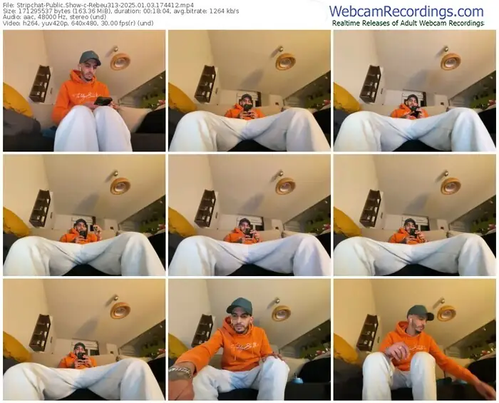 stripchat-rebeu313-01-03-2025-17-44-12