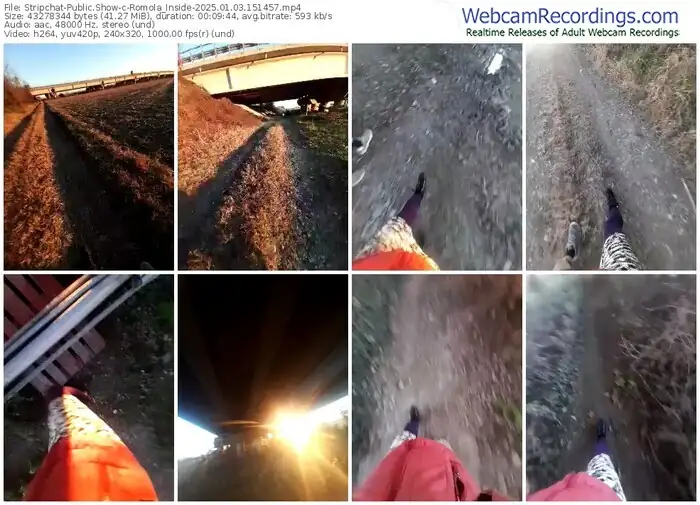 stripchat-romola_inside-01-03-2025-15-14-57