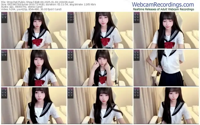 stripchat-beb-66-01-03-2025-16-34-39