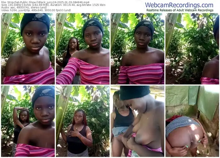 stripchat-black_juicy24-01-03-2025-08-48-46