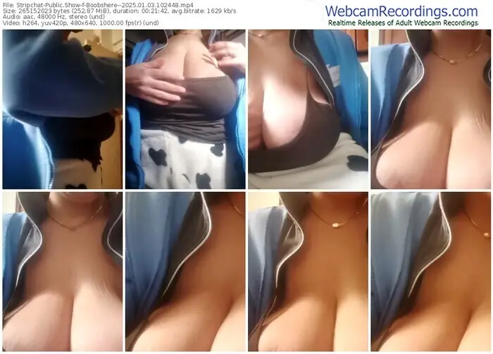 stripchat-boobshere--01-03-2025-10-24-48