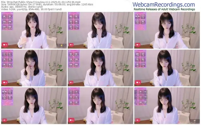 stripchat-gougou-111-01-03-2025-12-51-36