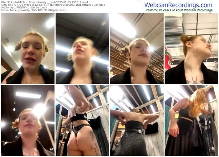 stripchat-honey___hot-01-03-2025-13-56-18