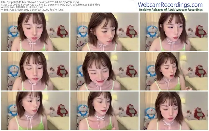 stripchat-onekitty-01-03-2025-05-40-34