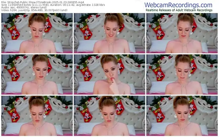 stripchat-tinabrook-01-03-2025-06-08-55