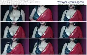 stripchat-_kamakshi-01-03-2025-19-04-30