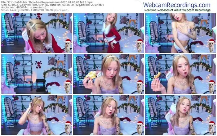 stripchat-ashleywowmeow-01-03-2025-03-44-22