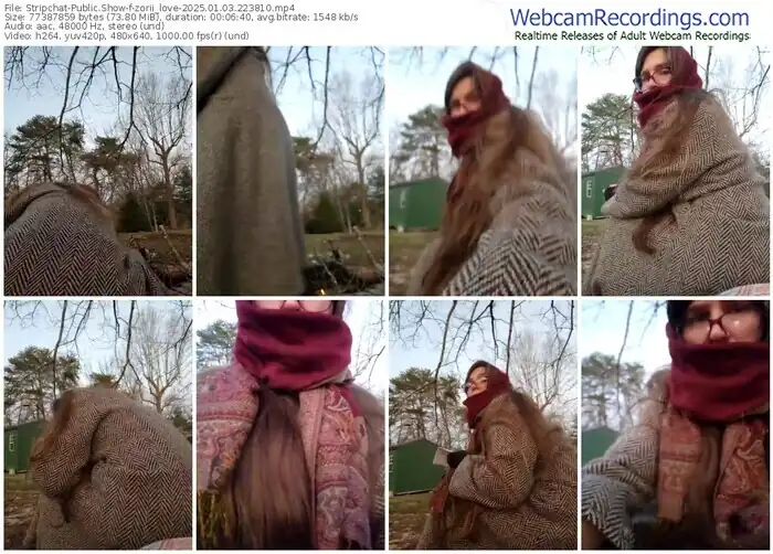 stripchat-zorii_love-01-03-2025-22-38-10
