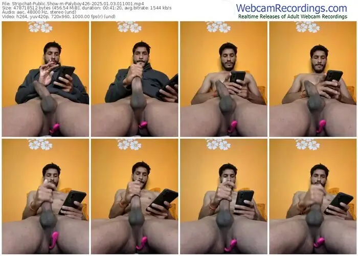 stripchat-palyboy426-01-03-2025-01-10-01