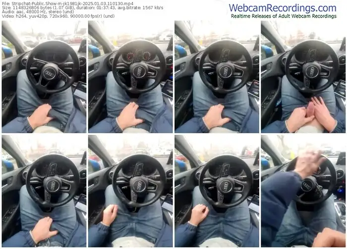 stripchat-jk1981jk-01-03-2025-11-01-30