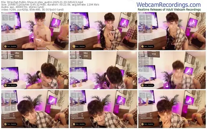 stripchat-stev_austin-01-03-2025-04-54-13