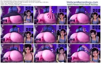 stripchat-nixycrow11-01-04-2025-05-01-52