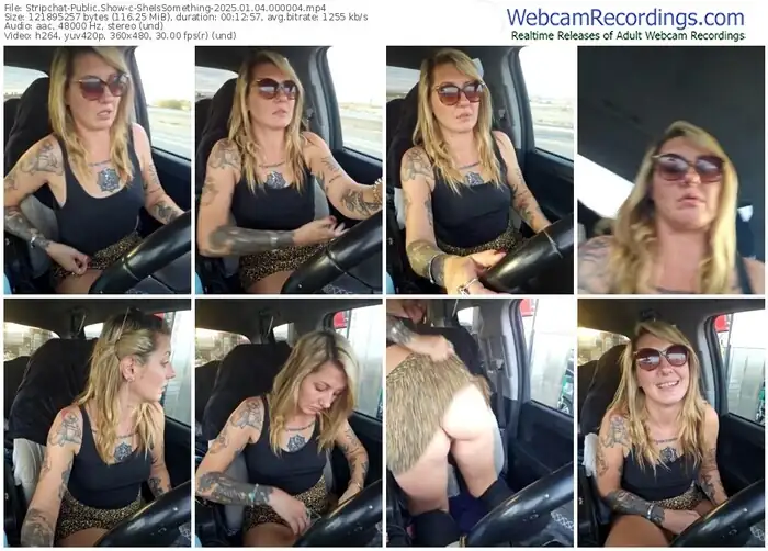 stripchat-sheissomething-01-04-2025-00-00-04