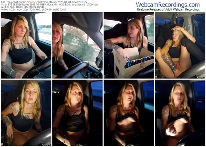 stripchat-sheissomething-01-04-2025-00-42-29