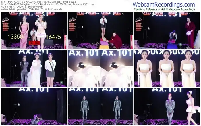 stripchat-xmh100-01-04-2025-03-59-19