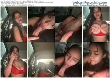 stripchat-danna_woolf-01-04-2025-12-17-54