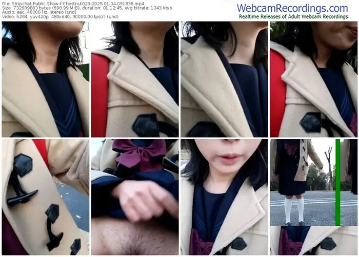 stripchat-chestnut023-01-04-2025-09-18-38