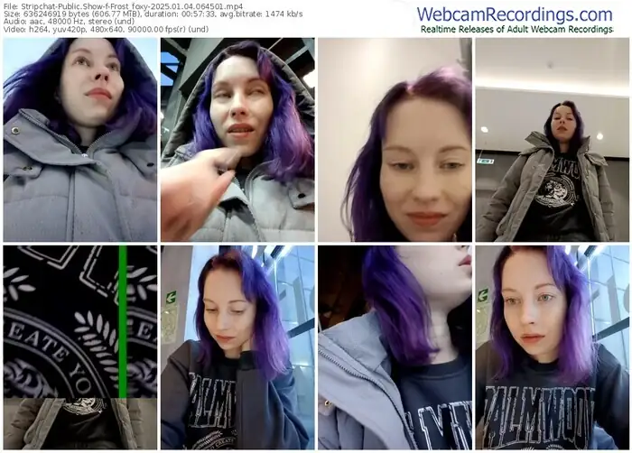 stripchat-frost_foxy-01-04-2025-06-45-01