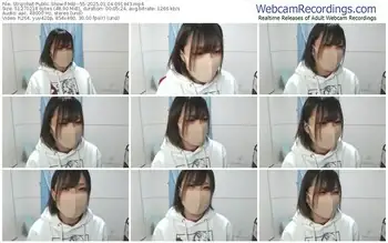 stripchat-mei--55-01-04-2025-09-19-43