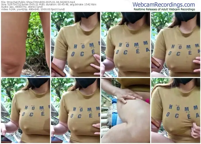 stripchat-mindi06-01-04-2025-04-26-03