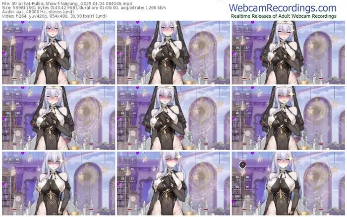 stripchat-naijiang_-01-04-2025-08-40-46