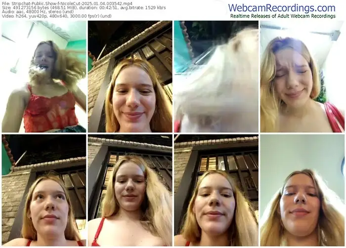 stripchat-nicolecut-01-04-2025-00-35-42