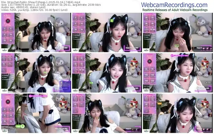 stripchat-sheep-1-01-04-2025-17-48-41