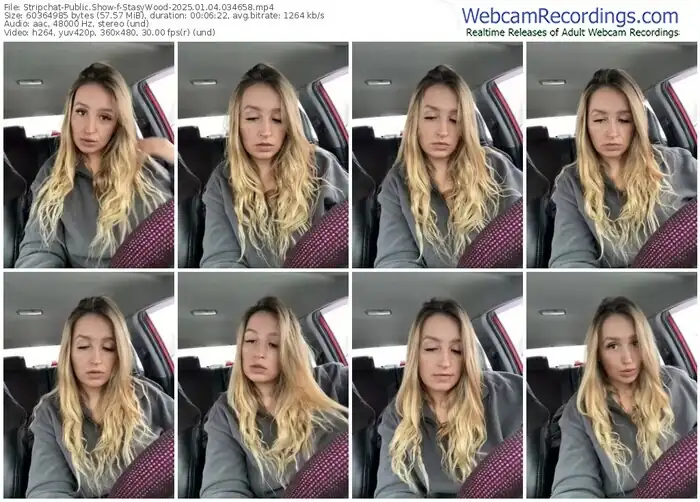 stripchat-stasywood-01-04-2025-03-46-58