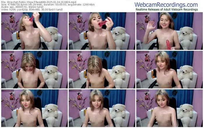 stripchat-tweet88-01-04-2025-01-08-24