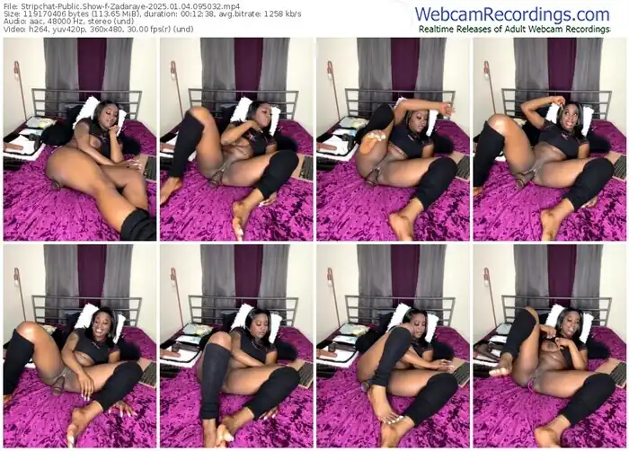 stripchat-zadaraye-01-04-2025-09-50-32