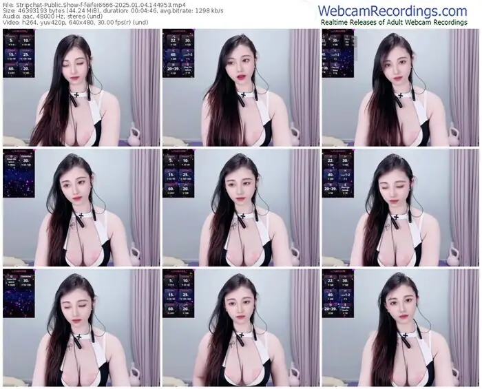 stripchat-feifei6666-01-04-2025-14-49-53