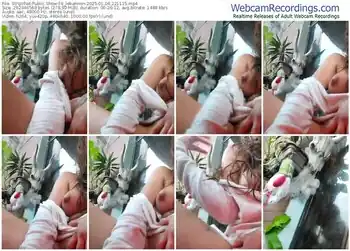 stripchat-k_lebannon-01-04-2025-22-11-15