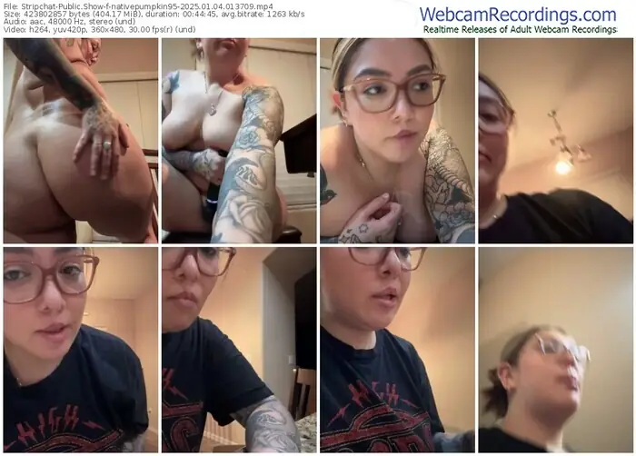 stripchat-nativepumpkin95-01-04-2025-01-37-09