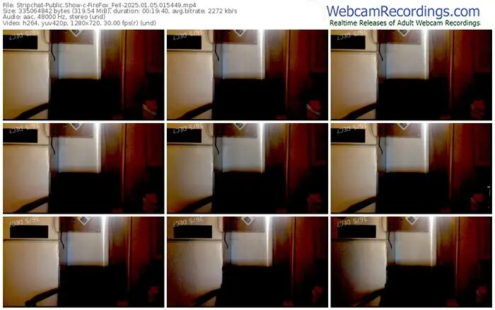 stripchat-firefox_feii-01-05-2025-01-54-49