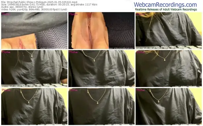 stripchat-pinkgum-01-05-2025-02-53-22