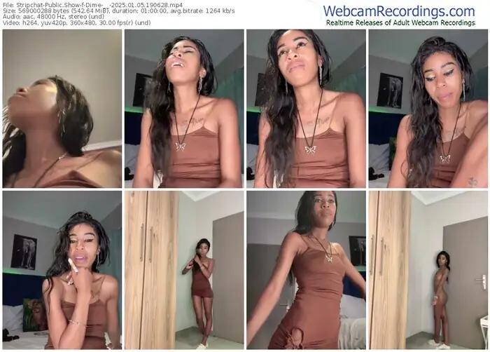 stripchat-dime-__-01-05-2025-19-06-28