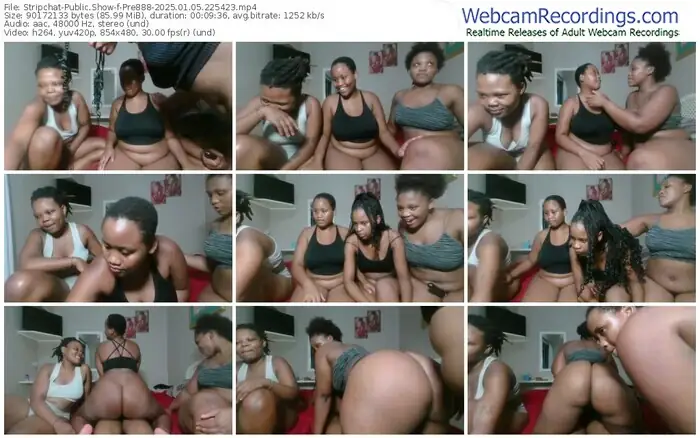 stripchat-pre888-01-05-2025-22-54-23