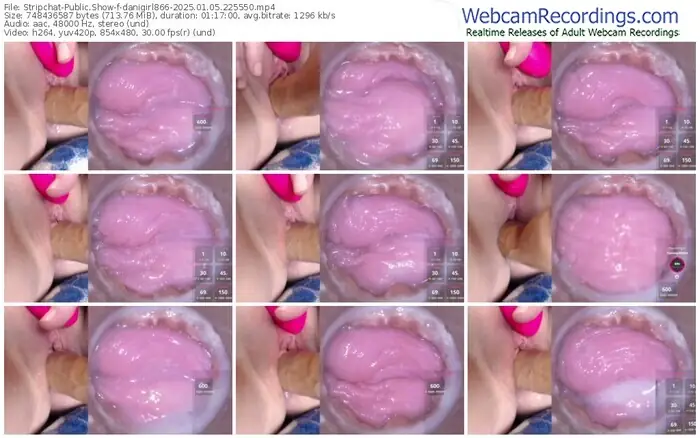stripchat-danigirl866-01-05-2025-22-55-50