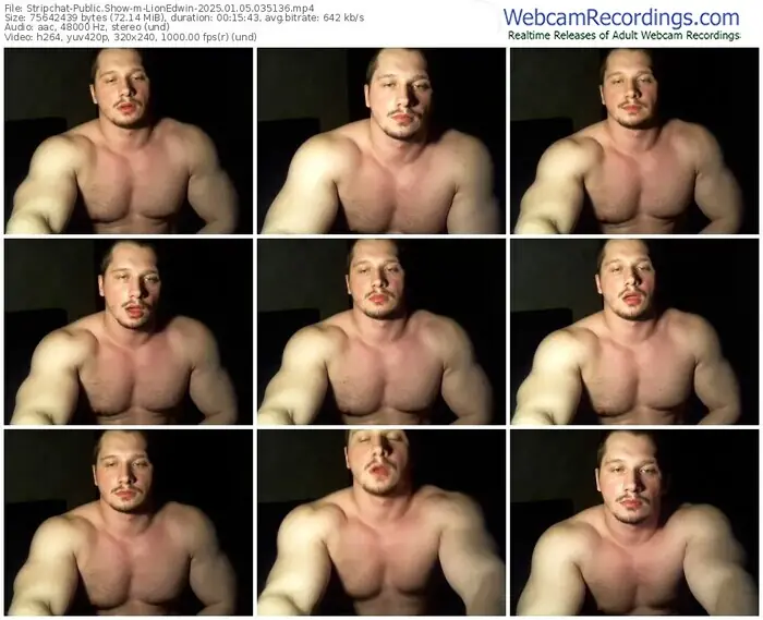 stripchat-lionedwin-01-05-2025-03-51-36