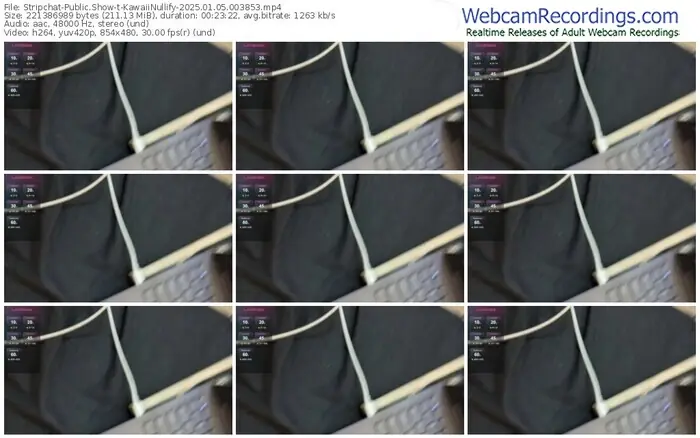 stripchat-kawaiinullify-01-05-2025-00-38-53