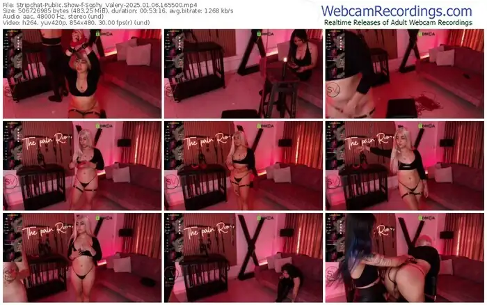 stripchat-sophy_valery-01-06-2025-16-55-00