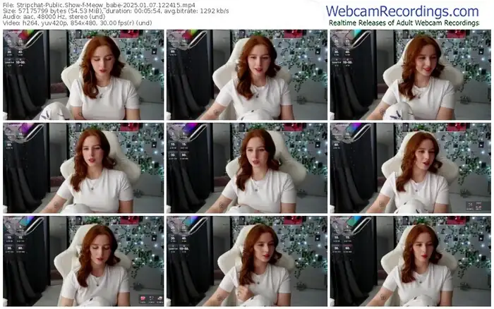 stripchat-meow_babe-01-07-2025-12-24-15