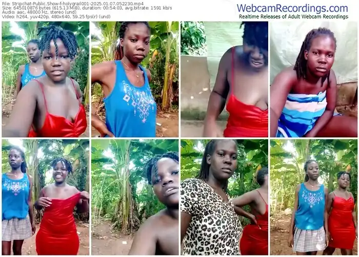 stripchat-holygrail001-01-07-2025-05-22-30