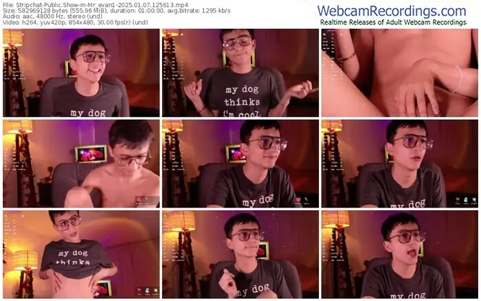 stripchat-mr_evan1-01-07-2025-12-56-13