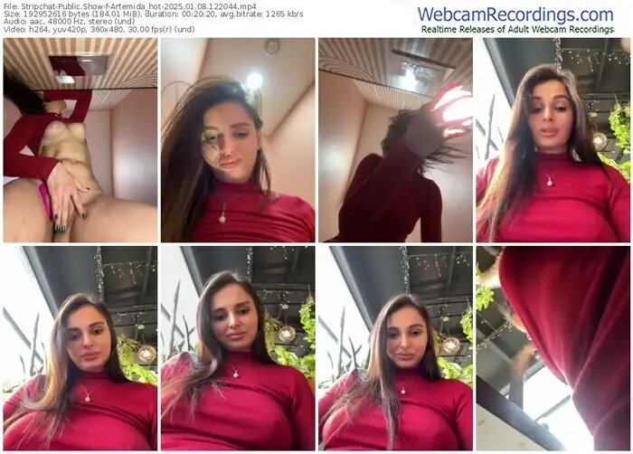 stripchat-artemida_hot-01-08-2025-12-20-44